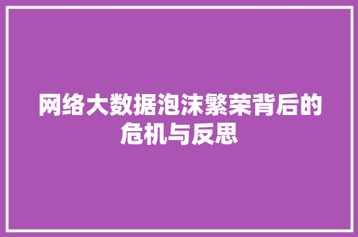 网络大数据泡沫繁荣背后的危机与反思