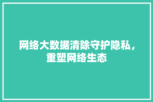 网络大数据清除守护隐私，重塑网络生态