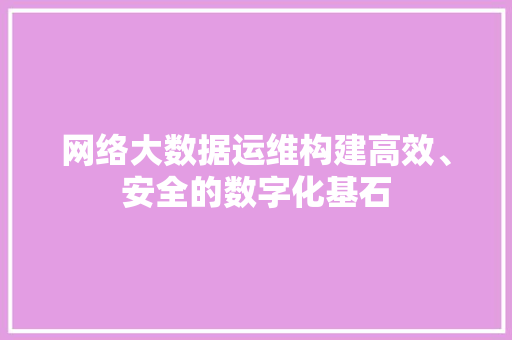 网络大数据运维构建高效、安全的数字化基石
