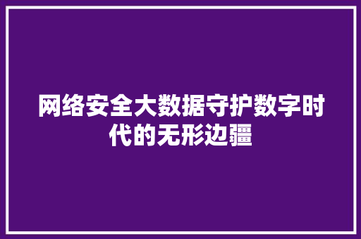 网络安全大数据守护数字时代的无形边疆