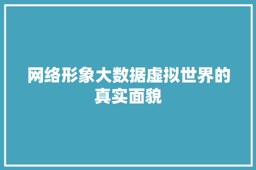 网络形象大数据虚拟世界的真实面貌