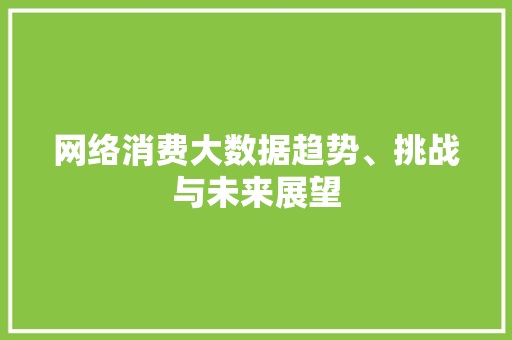 网络消费大数据趋势、挑战与未来展望