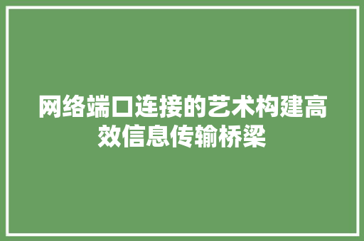 网络端口连接的艺术构建高效信息传输桥梁