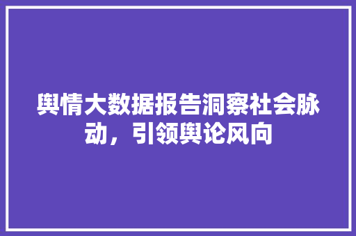 舆情大数据报告洞察社会脉动，引领舆论风向