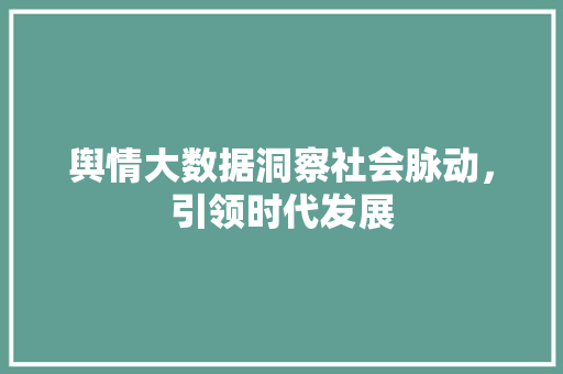 舆情大数据洞察社会脉动，引领时代发展