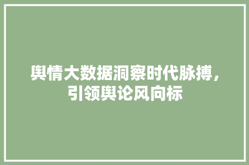 舆情大数据洞察时代脉搏，引领舆论风向标