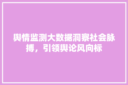 舆情监测大数据洞察社会脉搏，引领舆论风向标