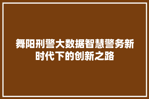 舞阳刑警大数据智慧警务新时代下的创新之路
