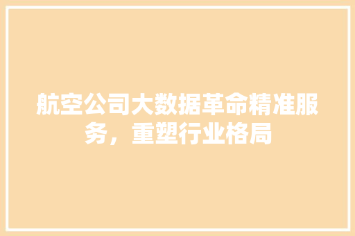 航空公司大数据革命精准服务，重塑行业格局