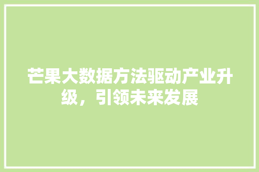 芒果大数据方法驱动产业升级，引领未来发展