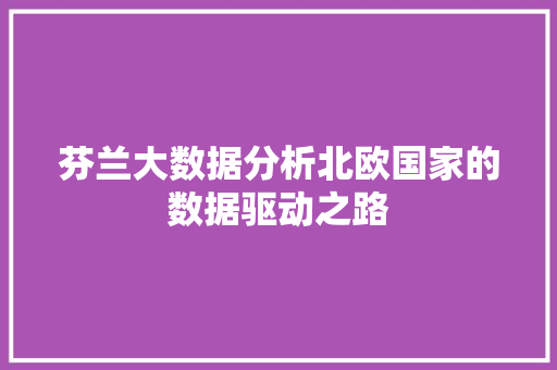 芬兰大数据分析北欧国家的数据驱动之路