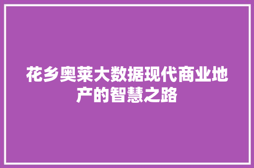 花乡奥莱大数据现代商业地产的智慧之路