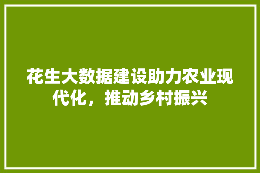 花生大数据建设助力农业现代化，推动乡村振兴