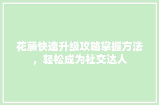 花藤快速升级攻略掌握方法，轻松成为社交达人