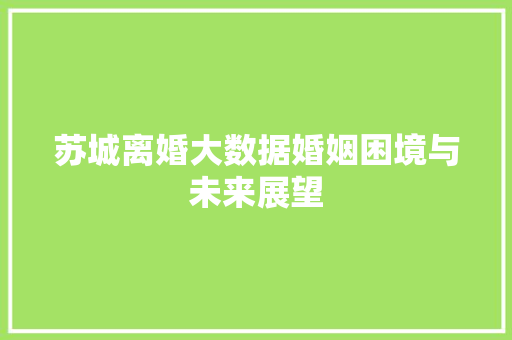 苏城离婚大数据婚姻困境与未来展望