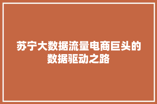 苏宁大数据流量电商巨头的数据驱动之路