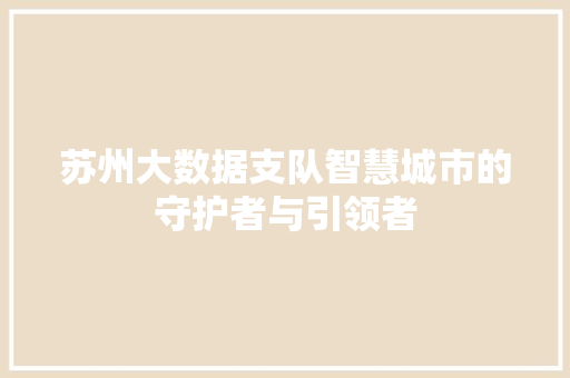 苏州大数据支队智慧城市的守护者与引领者