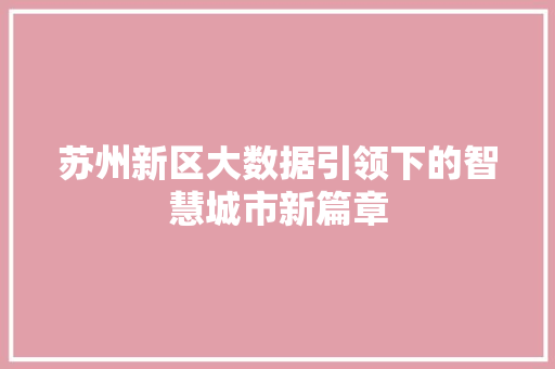 苏州新区大数据引领下的智慧城市新篇章