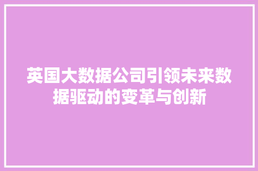 英国大数据公司引领未来数据驱动的变革与创新