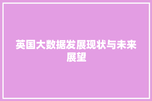英国大数据发展现状与未来展望