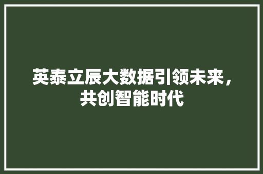 英泰立辰大数据引领未来，共创智能时代