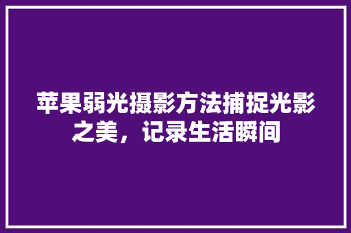 苹果弱光摄影方法捕捉光影之美，记录生活瞬间
