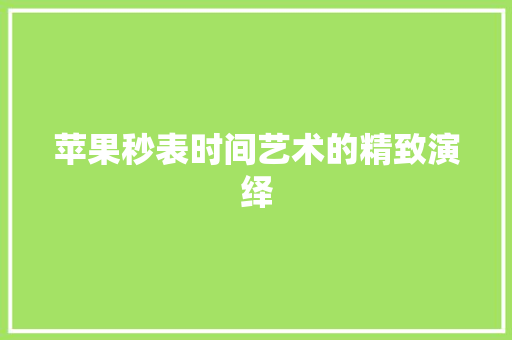 苹果秒表时间艺术的精致演绎