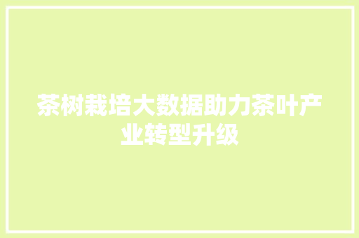 茶树栽培大数据助力茶叶产业转型升级