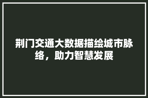 荆门交通大数据描绘城市脉络，助力智慧发展