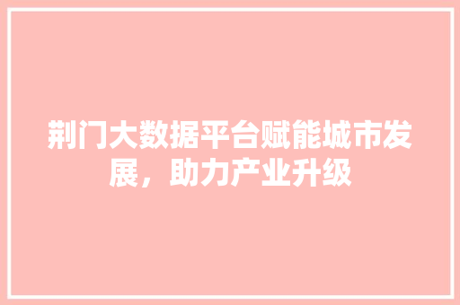 荆门大数据平台赋能城市发展，助力产业升级