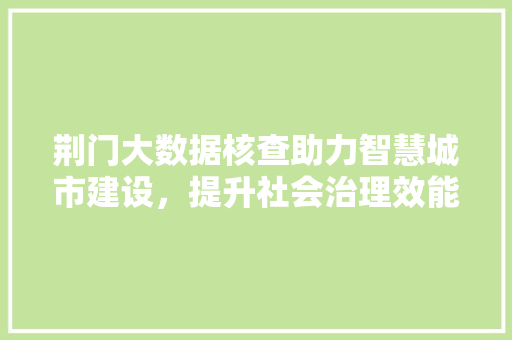 荆门大数据核查助力智慧城市建设，提升社会治理效能