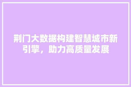 荆门大数据构建智慧城市新引擎，助力高质量发展