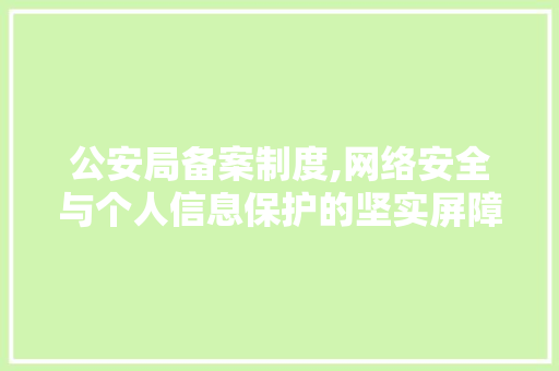 公安局备案制度,网络安全与个人信息保护的坚实屏障 缓存Redis