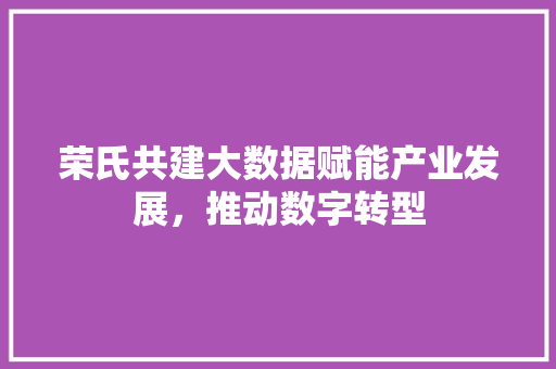 荣氏共建大数据赋能产业发展，推动数字转型