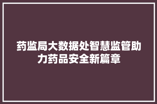 药监局大数据处智慧监管助力药品安全新篇章