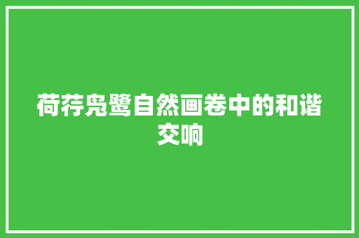 荷荇凫鹭自然画卷中的和谐交响
