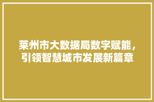莱州市大数据局数字赋能，引领智慧城市发展新篇章