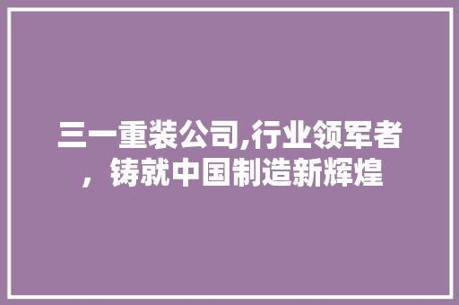 三一重装公司,行业领军者，铸就中国制造新辉煌