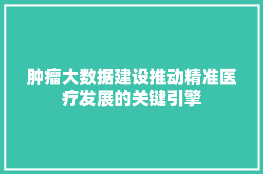 肿瘤大数据建设推动精准医疗发展的关键引擎