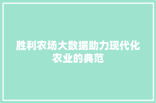 胜利农场大数据助力现代化农业的典范