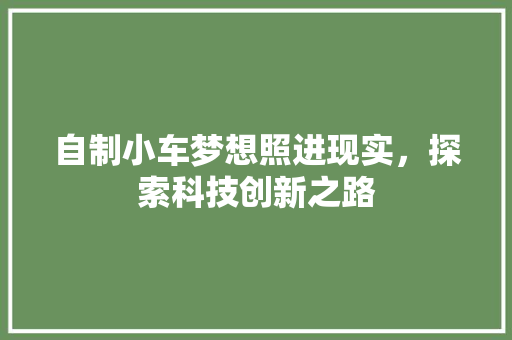 自制小车梦想照进现实，探索科技创新之路