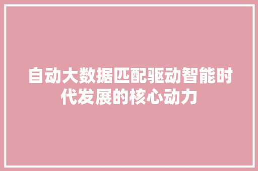 自动大数据匹配驱动智能时代发展的核心动力