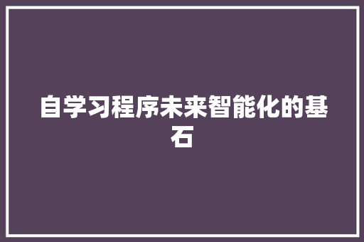 自学习程序未来智能化的基石