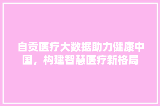 自贡医疗大数据助力健康中国，构建智慧医疗新格局