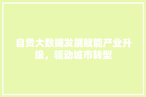 自贡大数据发展赋能产业升级，驱动城市转型