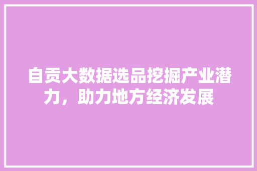 自贡大数据选品挖掘产业潜力，助力地方经济发展