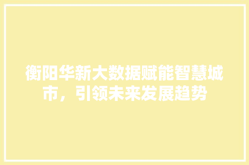 衡阳华新大数据赋能智慧城市，引领未来发展趋势