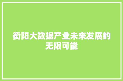 衡阳大数据产业未来发展的无限可能