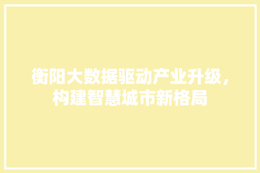 衡阳大数据驱动产业升级，构建智慧城市新格局