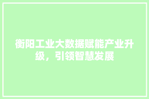 衡阳工业大数据赋能产业升级，引领智慧发展